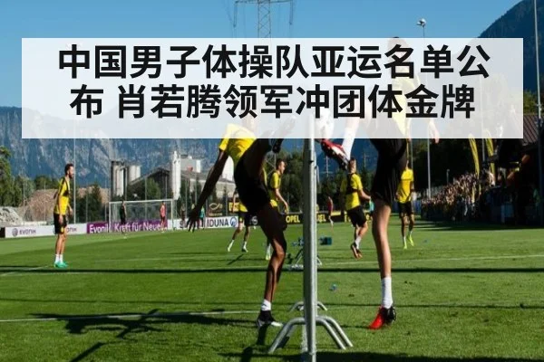 中国男子体操队亚运名单公布 肖若腾领军冲团体金牌（kaiyun com）